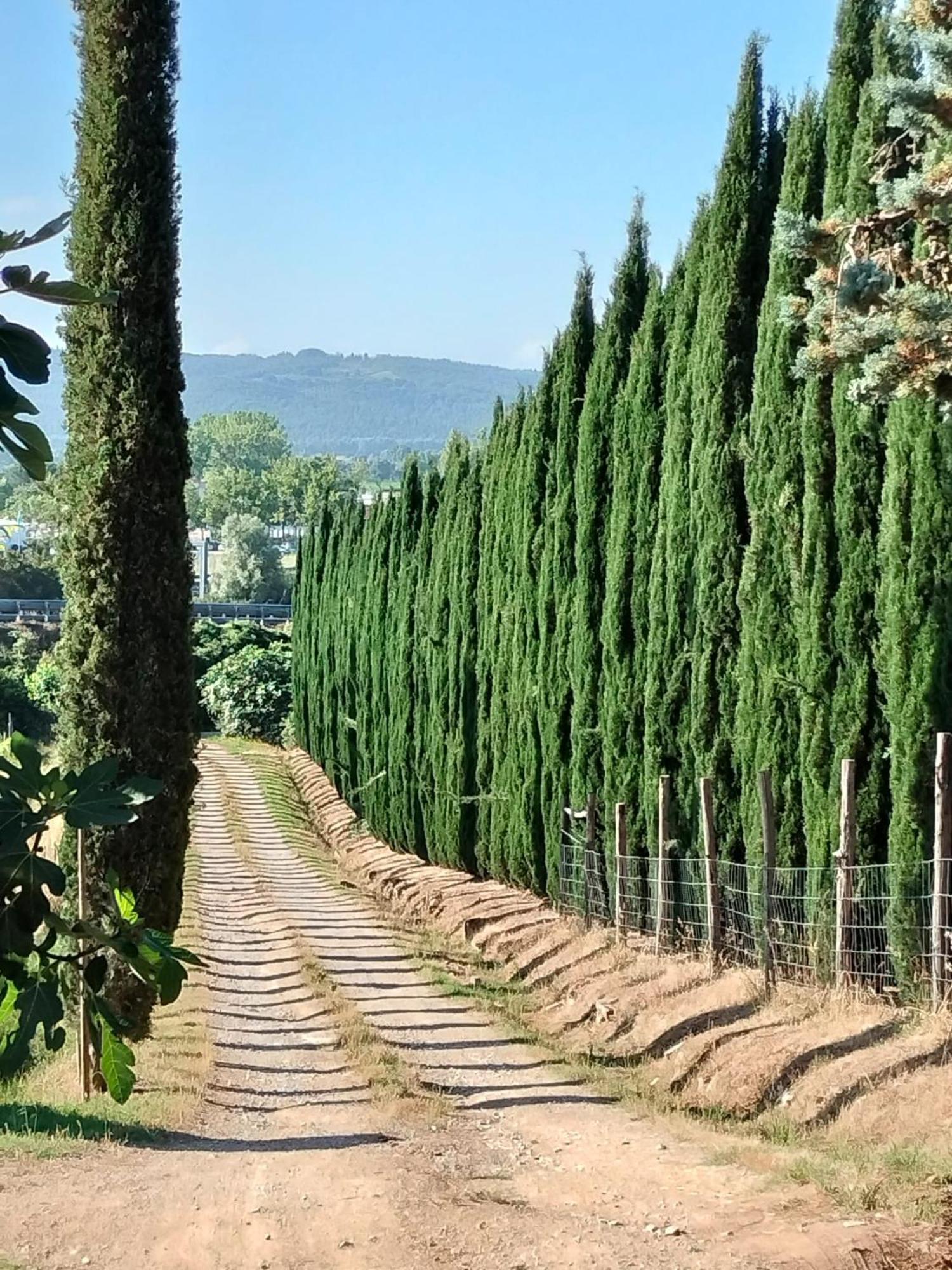 Villa Camugnano Farm Rapolano Terme Exterior foto